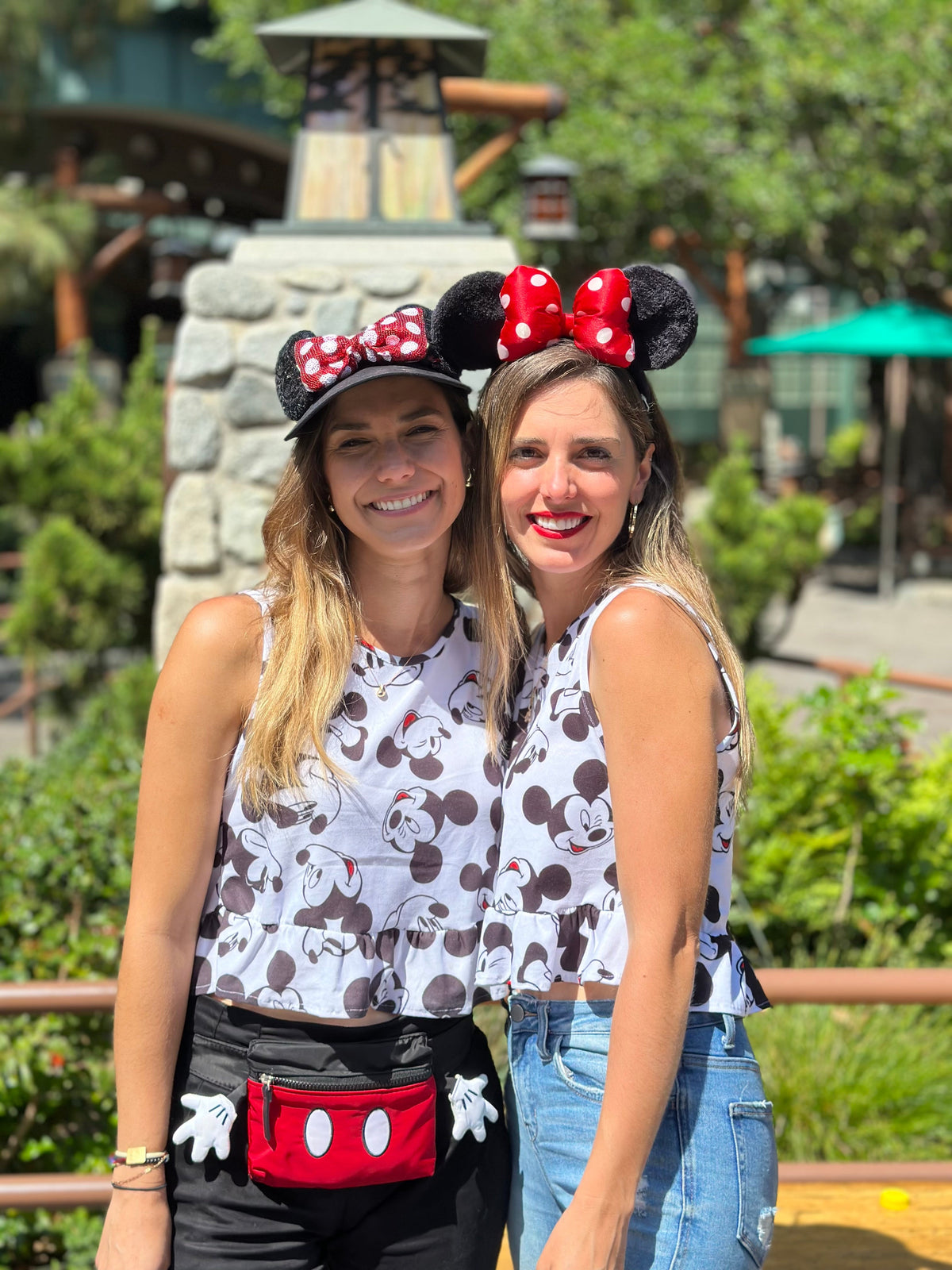 Matching familia mickeys